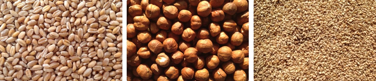 Mein Müsli Laden / Bioladen online